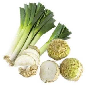 Deutschland/Niederlande Porree oder Knollensellerie