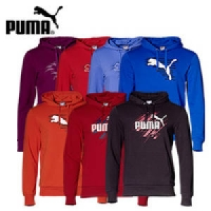 Damen- oder Herren-Kapuzensweatshirt 25.00 €