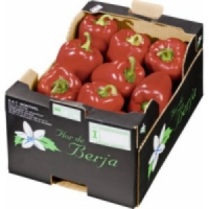 Paprika rot