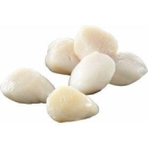 MSC Kammmuschelfleisch 29.99&nbsp;&euro;