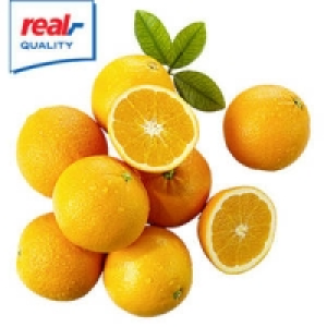 Spanien Orangen 1.99 €