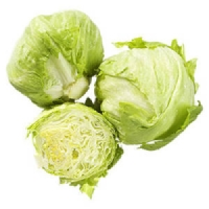 Spanien Eisbergsalat