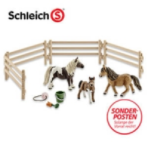 Shetland Pony Familie