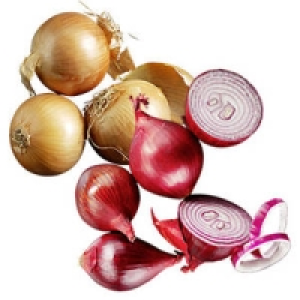 Deutschland Speisezwiebeln, gelb oder Speisezwiebeln, rot