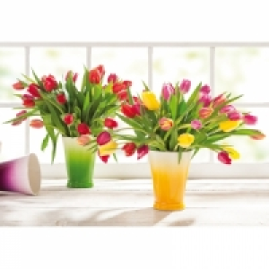 Tulpenstrauß 1.99 €