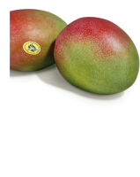 Ebl Naturkost Peruanische Mango Kent