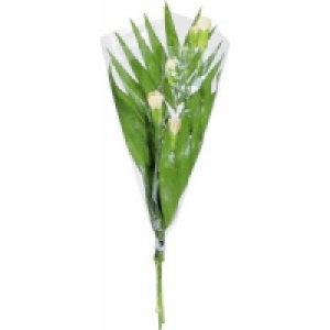 Strauß Tulpe