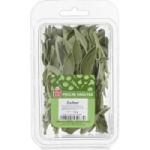Frische Kräuter