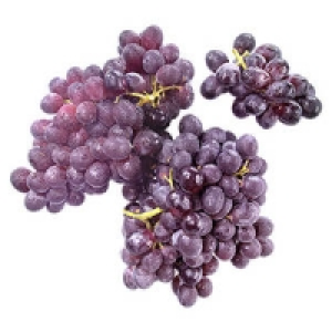 S&uuml;dafrika Tafeltrauben, rot, kernlos