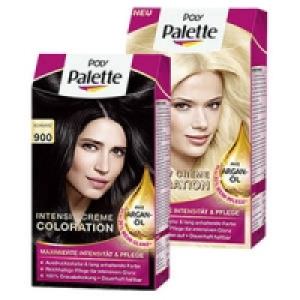 Poly Palette Coloration