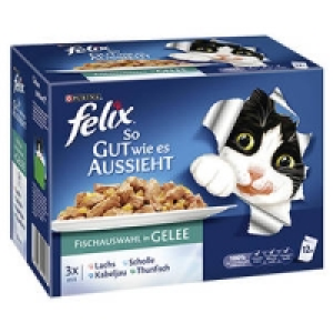 felix Katzen-Nassnahrung