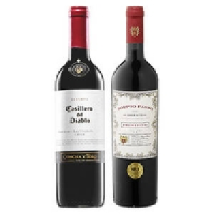 Italien Doppio Passo Primitivo Salento oder Chile Casillero del Diablo