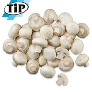 Niederlande/Polen Champignons, wei&szlig;