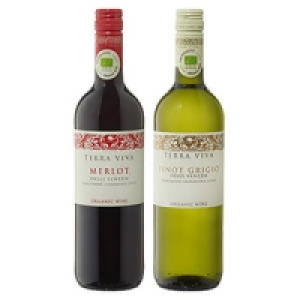 Italien Terra Viva Pinot Grigio oder Merlot Bio