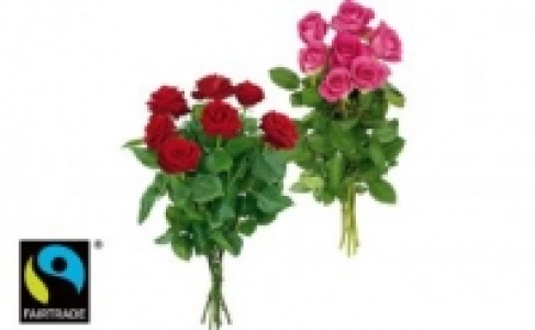Premium Rosen 5.99 €