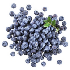 Chile Heidelbeeren 1.44 €