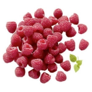 Spanien/Mexiko Himbeeren