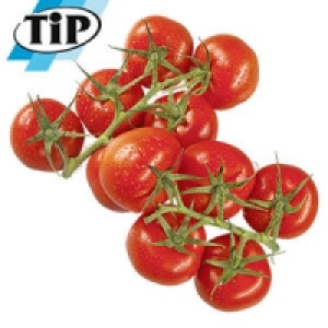 Spanien Rispentomaten 1.99&nbsp;&euro;