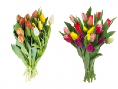 Tulpenstrauß 3.99 €