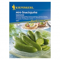 Bauhaus  Kiepenkerl Profi-Line Salatgurke Salamanda