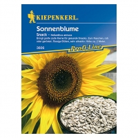 Bauhaus  Kiepenkerl Profi-Line Sonnenblume Snack