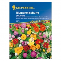 Bauhaus  Kiepenkerl Profi-Line Blumenmischung Last Minute