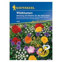 Bauhaus  Kiepenkerl Profi-Line Blumenmischung Wildblumen