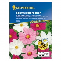 Bauhaus  Kiepenkerl Profi-Line Blumenmischung Schmuckkörbchen Sonata