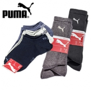 Sport- oder Sneakersocken 3er-Pack