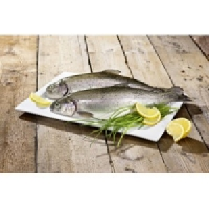 Forelle aus Edelzucht