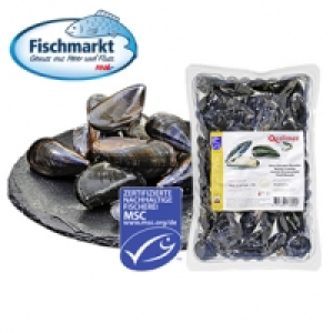 Miesmuscheln Extra aus Aquakultur mit Setzlingen aus einer MSC-zertifi