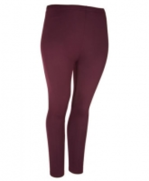 Thermo-Leggings 2.99 €