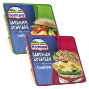 Hochland Sandwich Scheiben Schmelzk&auml;sezubereitung, 45 % Fett i. Tr., v