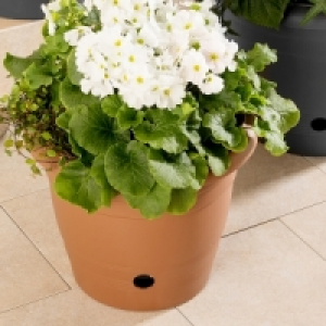 Blumentopf 3.99&nbsp;&euro;