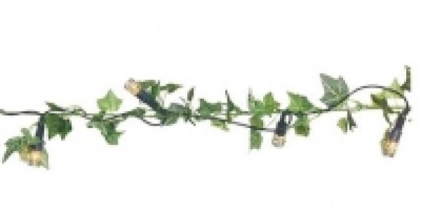 N&auml;ve Efeu- Lichterkette f&uuml;r Innen