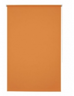 Seitenzugrollo, Good Life, Amelie, im Fixma&szlig;, Lichtschutz (1 Stck.)