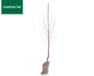 GARDENLINE®Obstbaum