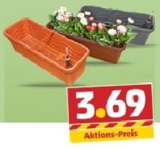 Balkonkasten 3.69 €