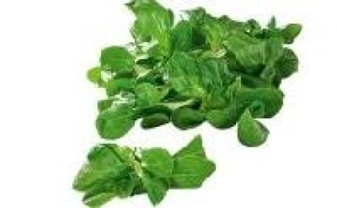 Feldsalat 0.59 €