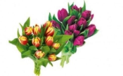 Tulpen-Strau&szlig; 1.99&nbsp;&euro;
