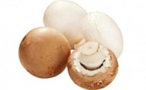 Riesenchampignons 1.69&nbsp;&euro;