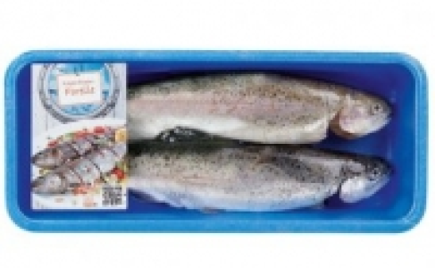 Regenbogen-Forelle 4.45&nbsp;&euro;