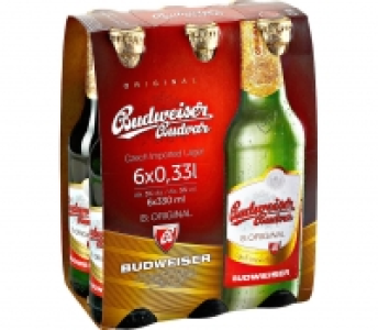 Kaufland  Budweiser