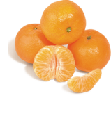 Ebl Naturkost Marokkanische Clementinen