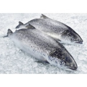 Lachs 10.99 €
