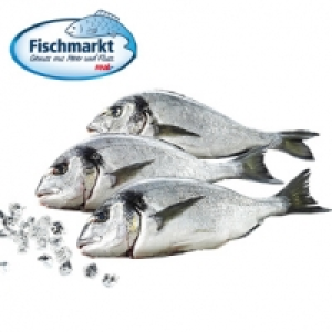 Dorade Royal ausgenommen, mit Kopf, Aquakultur &ouml;stliches Mittelmeer, j