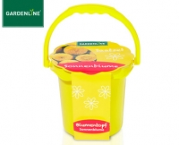 GARDENLINE®Saatset 2.99 €