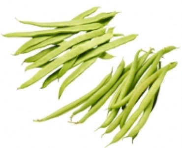 Bohnen breit/Bobbybohnen