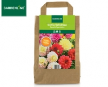 GARDENLINE&reg; Blumenzwiebeln in der Tragetasche
