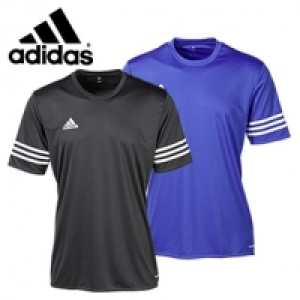 Trikot, je 15.00 €